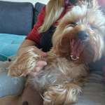 Ersteller:in Jenny Profilbild