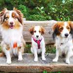 Ersteller:in Gi Profilbild