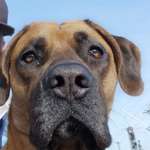 Ersteller:in Tim Profilbild