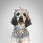 Ersteller:in Jo Profilbild