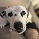 Ersteller:in Matthias Profilbild