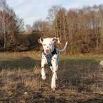 Ersteller:in Carina Profilbild