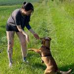 Ersteller:in Janine Profilbild