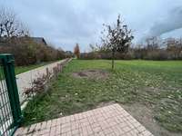 Hundeauslaufgebiet-Hundewiese Datteln / Möllerskamp-Bild