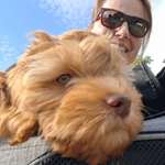 Ersteller:in Bettina und Olli Profilbild