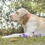 Ersteller:in Nicole Profilbild