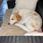 Ersteller:in Ulli Profilbild