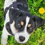 Ersteller:in Pippi Profilbild