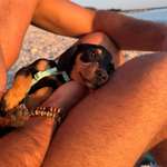 Ersteller:in Marvin Profilbild