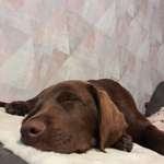 Ersteller:in Sarah Profilbild