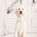 Ersteller:in Melissa Profilbild