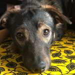 Ersteller:in Katharina Profilbild