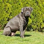 Ersteller:in Marie Profilbild