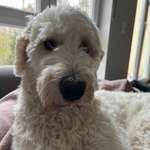 Ersteller:in Katharina Profilbild