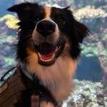 Ersteller:in Nina Profilbild