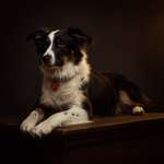 Ersteller:in Nina Profilbild