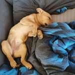 Ersteller:in Jonathan Profilbild