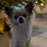 Ersteller:in Mira Profilbild