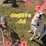 Ersteller:in Ramona Profilbild