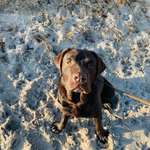 Ersteller:in Helena Profilbild