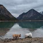 Ersteller:in Markus Profilbild