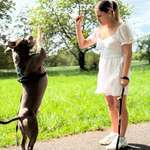 Ersteller:in Mariella Profilbild