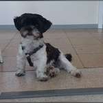 Ersteller:in Vanessa Profilbild