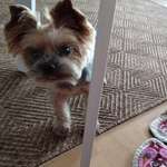 Ersteller:in Olga Profilbild