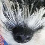 Ersteller:in Melanie Profilbild