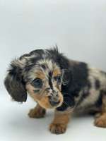 Ersteller:in anja Profilbild