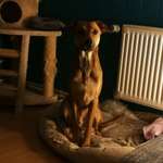 Ersteller:in Mira Profilbild