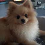 Ersteller:in Annette Profilbild