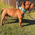 Ersteller:in Maria Profilbild