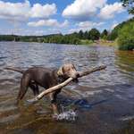 Ersteller:in Jacqueline Profilbild