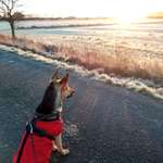 Ersteller:in Sabrina Profilbild