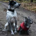 Ersteller:in Jasmin Profilbild