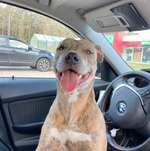 Ersteller:in Milli Profilbild