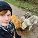 Ersteller:in David Profilbild