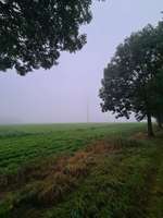 Hundeauslaufgebiet-Windkraftrad-Bild