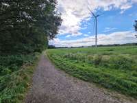 Hundeauslaufgebiet-Windkraftrad-Bild