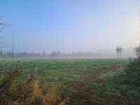 Hundeauslaufgebiet-Windkraftrad-Bild