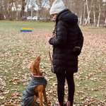 Ersteller:in J. Profilbild