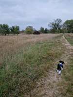 Hundeauslaufgebiet-Ritzenbüttler Sand Lemwerder-Bild