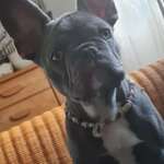 Ersteller:in Melanie Profilbild