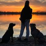 Ersteller:in Marie Celine Profilbild