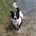 Ersteller:in Laura Profilbild