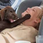 Ersteller:in Sarah Profilbild