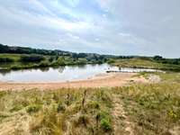 Hundeauslaufgebiet-Hundestrand Viereth-Bild