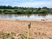 Hundeauslaufgebiet-Hundestrand Viereth-Bild