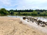 Hundeauslaufgebiet-Hundestrand Viereth-Bild